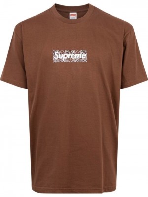 Brown Supreme Bandana Box-logo "Fw19" | MQGE9279